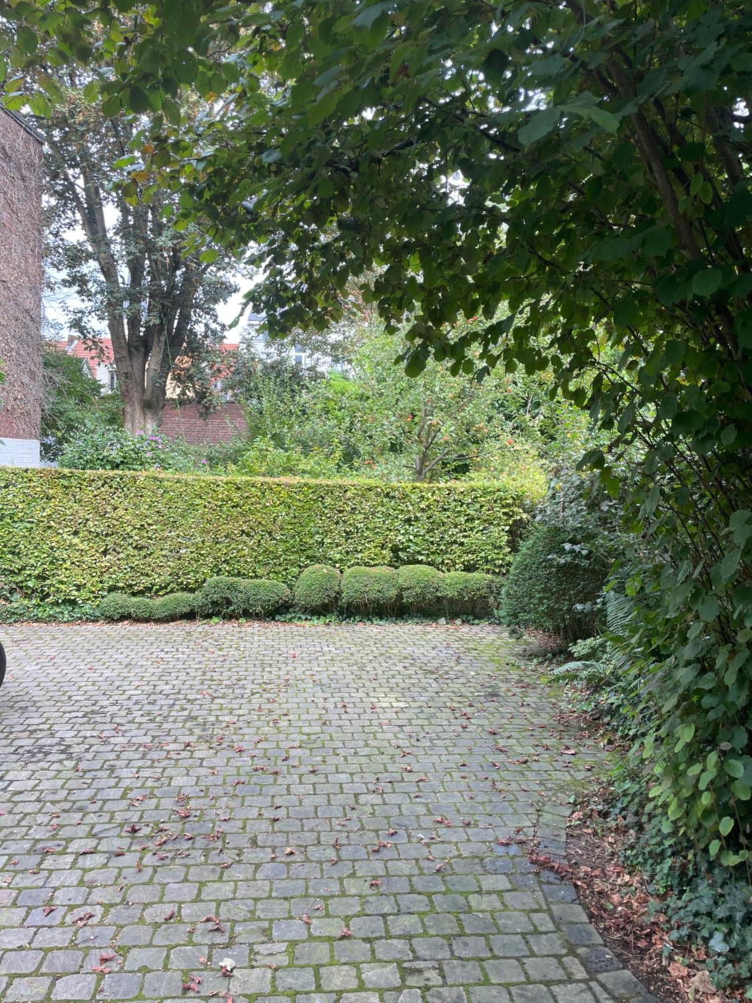 Dujardin 3 Antwerpen